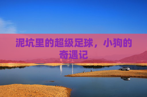 泥坑里的超级足球,小狗的奇遇记