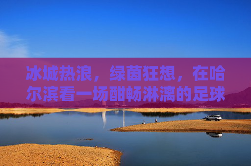 冰城热浪,绿茵狂想,在哈尔滨看一场酣畅淋漓的足球赛