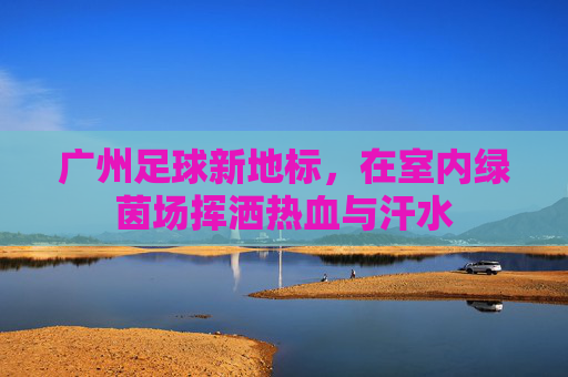 广州足球新地标,在室内绿茵场挥洒热血与汗水