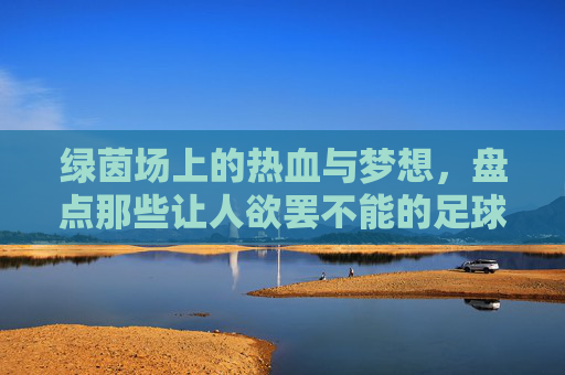 绿茵场上的热血与梦想,盘点那些让人欲罢不能的足球题材美剧