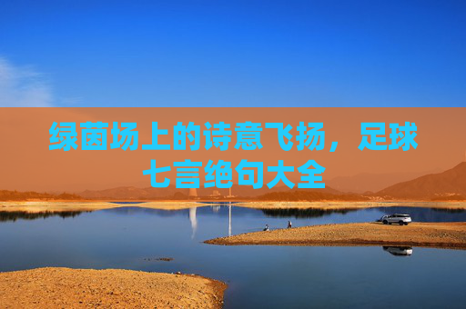 绿茵场上的诗意飞扬,足球七言绝句大全