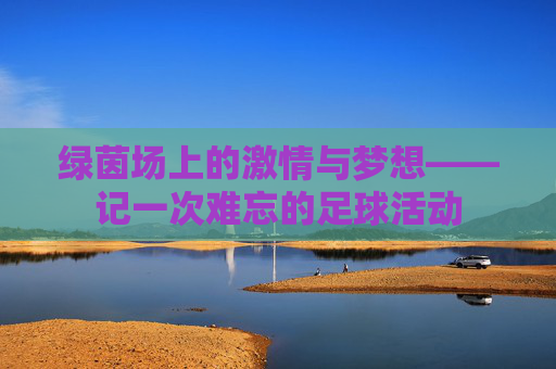 绿茵场上的激情与梦想——记一次难忘的足球活动