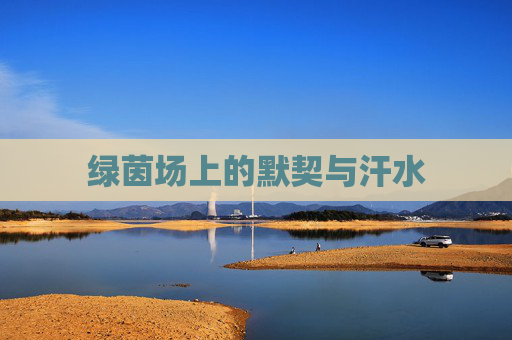绿茵场上的默契与汗水