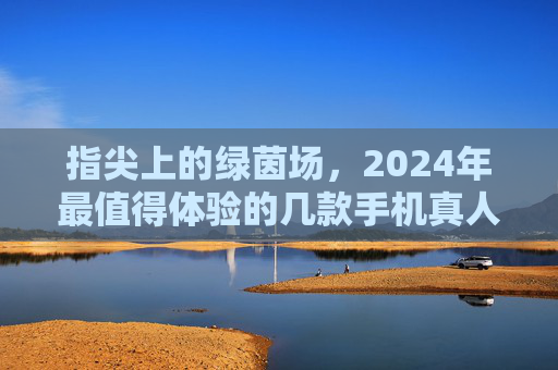 指尖上的绿茵场,2024年最值得体验的几款手机真人足球游戏