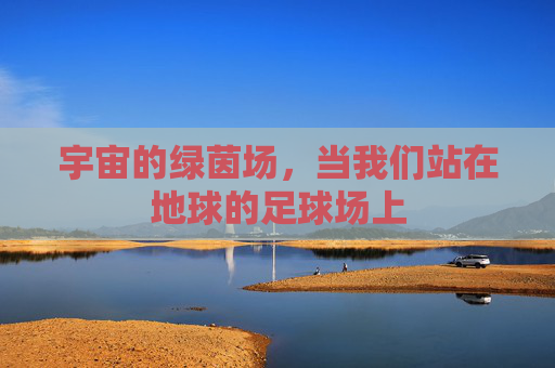 宇宙的绿茵场，当我们站在地球的足球场上