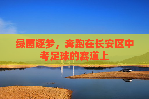 绿茵逐梦,奔跑在长安区中考足球的赛道上