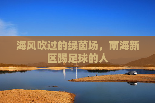 海风吹过的绿茵场,南海新区踢足球的人