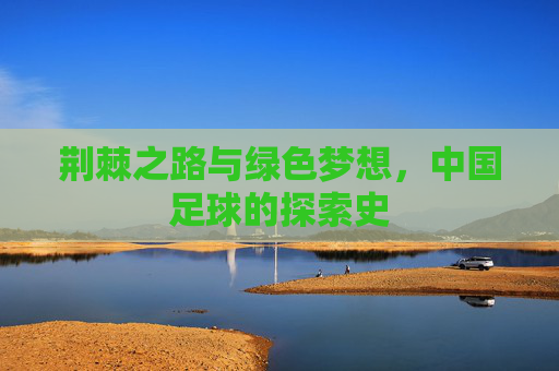 荆棘之路与绿色梦想，中国足球的探索史