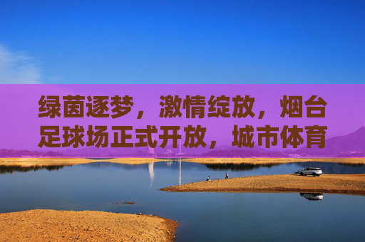 绿茵逐梦，激情绽放，烟台足球场正式开放，城市体育新地标崛起
