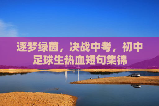 逐梦绿茵，决战中考，初中足球生热血短句集锦