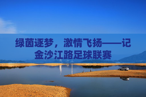 绿茵逐梦，激情飞扬——记金沙江路足球联赛