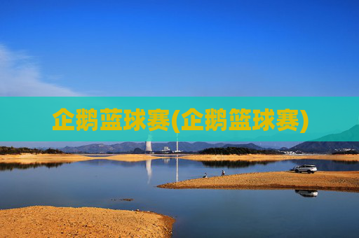 企鹅蓝球赛(企鹅篮球赛)