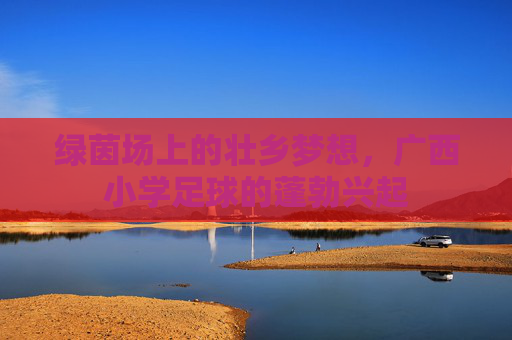绿茵场上的壮乡梦想，广西小学足球的蓬勃兴起