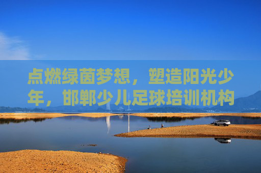 点燃绿茵梦想,塑造阳光少年,邯郸少儿足球培训机构的选择指南