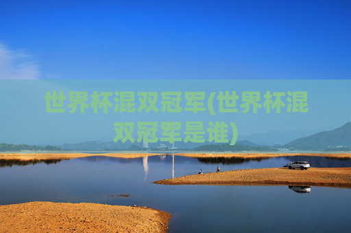 世界杯混双冠军(世界杯混双冠军是谁)