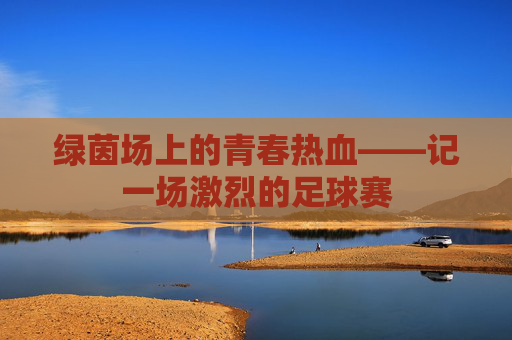 绿茵场上的青春热血——记一场激烈的足球赛