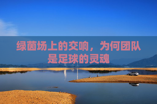 绿茵场上的交响,为何团队是足球的灵魂