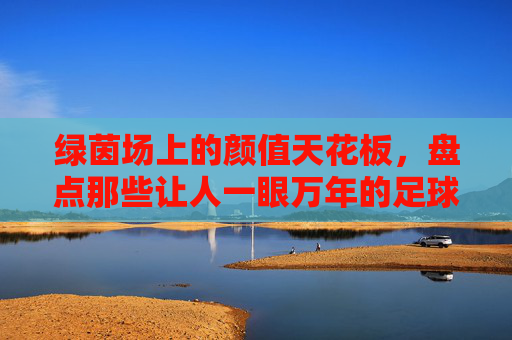 绿茵场上的颜值天花板,盘点那些让人一眼万年的足球男神