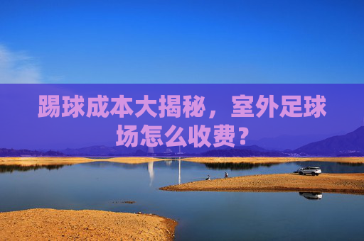 踢球成本大揭秘,室外足球场怎么收费?