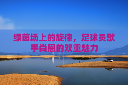 绿茵场上的旋律,足球员歌手尚恩的双重魅力