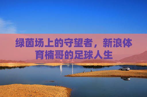 绿茵场上的守望者,新浪体育楠哥的足球人生