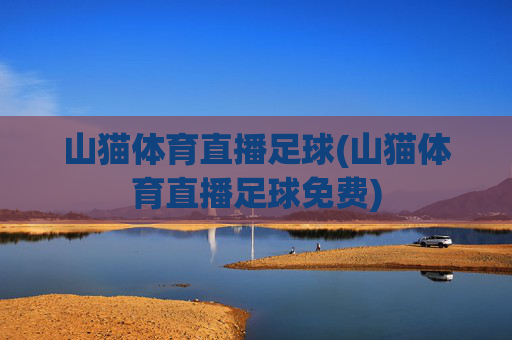山猫体育直播足球(山猫体育直播足球免费)