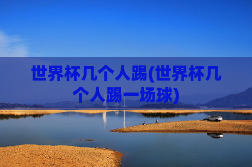 世界杯几个人踢(世界杯几个人踢一场球)