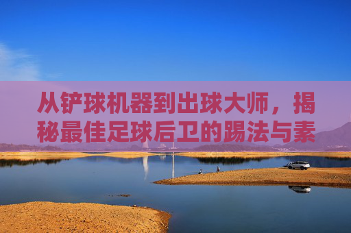 从铲球机器到出球大师,揭秘最佳足球后卫的踢法与素养