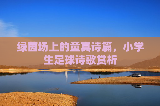 绿茵场上的童真诗篇,小学生足球诗歌赏析