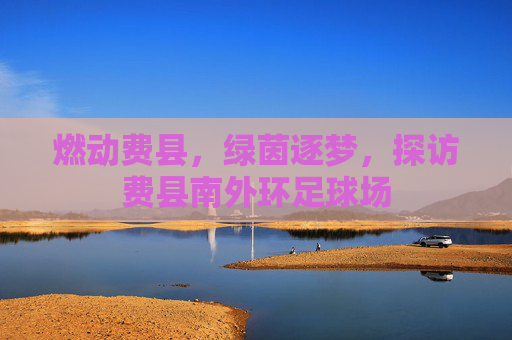 燃动费县,绿茵逐梦,探访费县南外环足球场