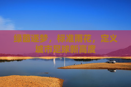 绿茵逐梦,标准雨花,定义城市足球新高度