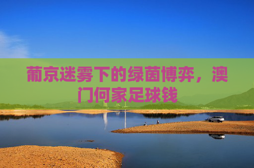 葡京迷雾下的绿茵博弈，澳门何家足球钱