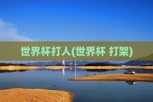 世界杯打人(世界杯 打架)