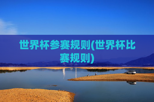 世界杯参赛规则(世界杯比赛规则)