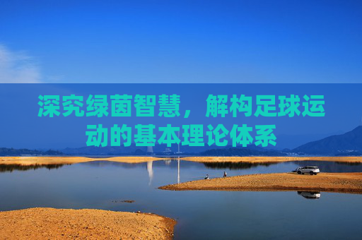 深究绿茵智慧,解构足球运动的基本理论体系
