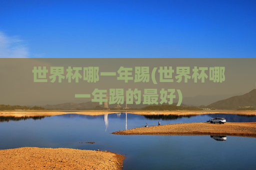 世界杯哪一年踢(世界杯哪一年踢的最好)