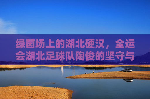 绿茵场上的湖北硬汉,全运会湖北足球队陶俊的坚守与荣光