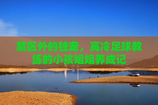 禁区外的独宠,高冷足球教练的小孩姐姐养成记