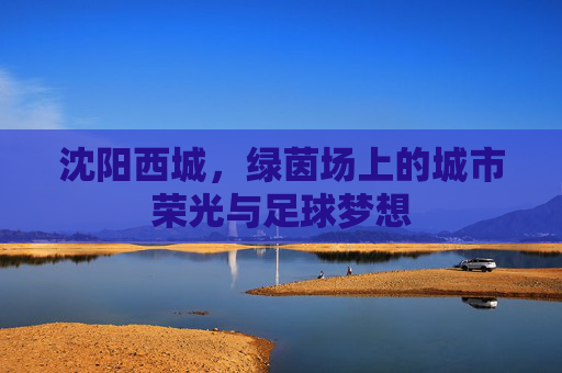 沈阳西城,绿茵场上的城市荣光与足球梦想
