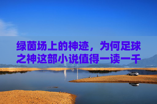 绿茵场上的神迹，为何足球之神这部小说值得一读一千多章