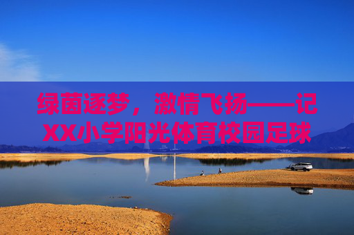 绿茵逐梦,激情飞扬——记XX小学阳光体育校园足球赛圆满落幕