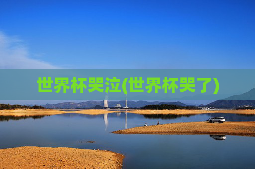 世界杯哭泣(世界杯哭了)