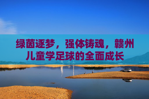 绿茵逐梦，强体铸魂，赣州儿童学足球的全面成长