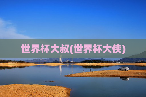 世界杯大叔(世界杯大侠)