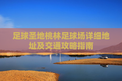 足球圣地桃林足球场详细地址及交通攻略指南