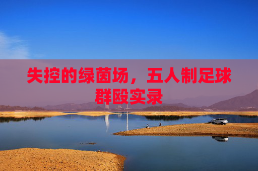 失控的绿茵场,五人制足球群殴实录