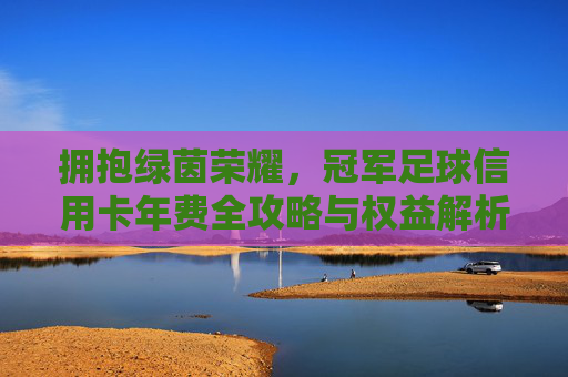 拥抱绿茵荣耀,冠军足球信用卡年费全攻略与权益解析
