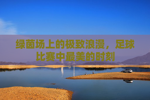 绿茵场上的极致浪漫,足球比赛中最美的时刻
