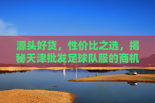 源头好货,性价比之选,揭秘天津批发足球队服的商机
