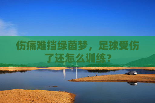 伤痛难挡绿茵梦,足球受伤了还怎么训练?